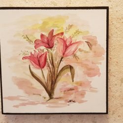 Tulipes